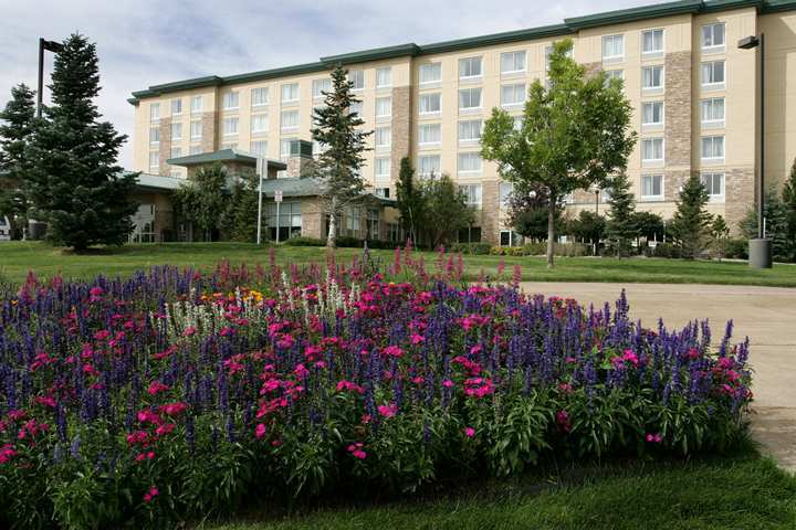 Hilton Garden Inn Denver South Park Meadows Area Centennial Exterior photo